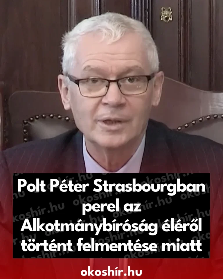 137262_Polt_Peter_Strasbourgban_perel_az_Alkotmanybirosag_elerol_to