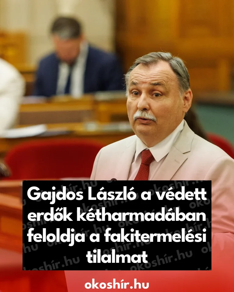 138111_Gajdos_Laszlo_a_vedett_erdok_ketharmadaban_feloldja_a_fakite