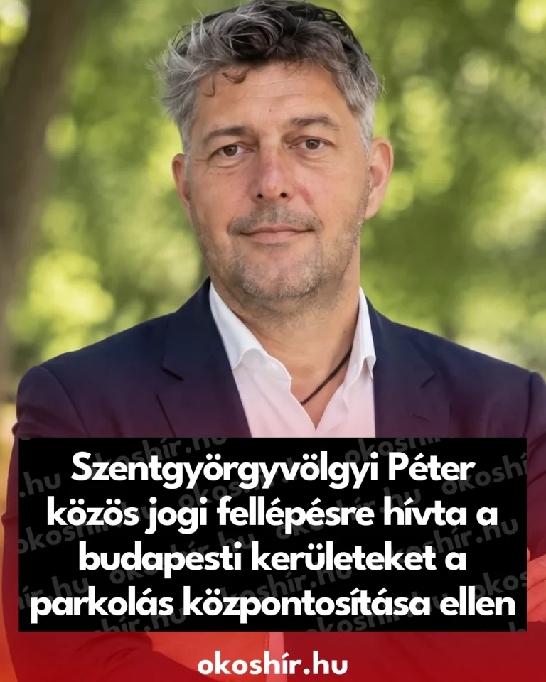 138114_Szentgyorgyvolgyi_Peter_kozos_jogi_fellepesre_hivta_a_budape