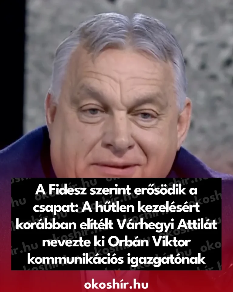 138118_A_Fidesz_szerint_erosodik_a_csapat_A_hutlen_kezelesert_korab
