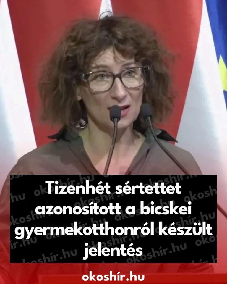 138122_Tizenhet_sertettet_azonositott_a_bicskei_gyermekotthonrol_ke