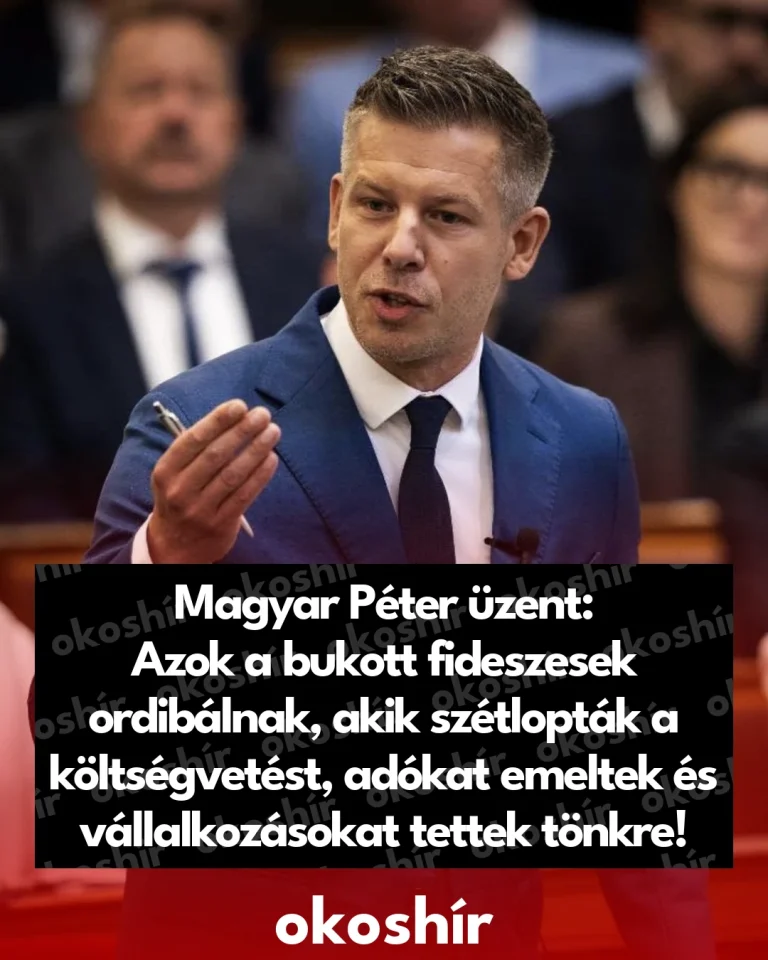 web_1791709113_Magyar_Peter_uzent_Azok_a_bukott_fideszesek_ordibalnak_akik_